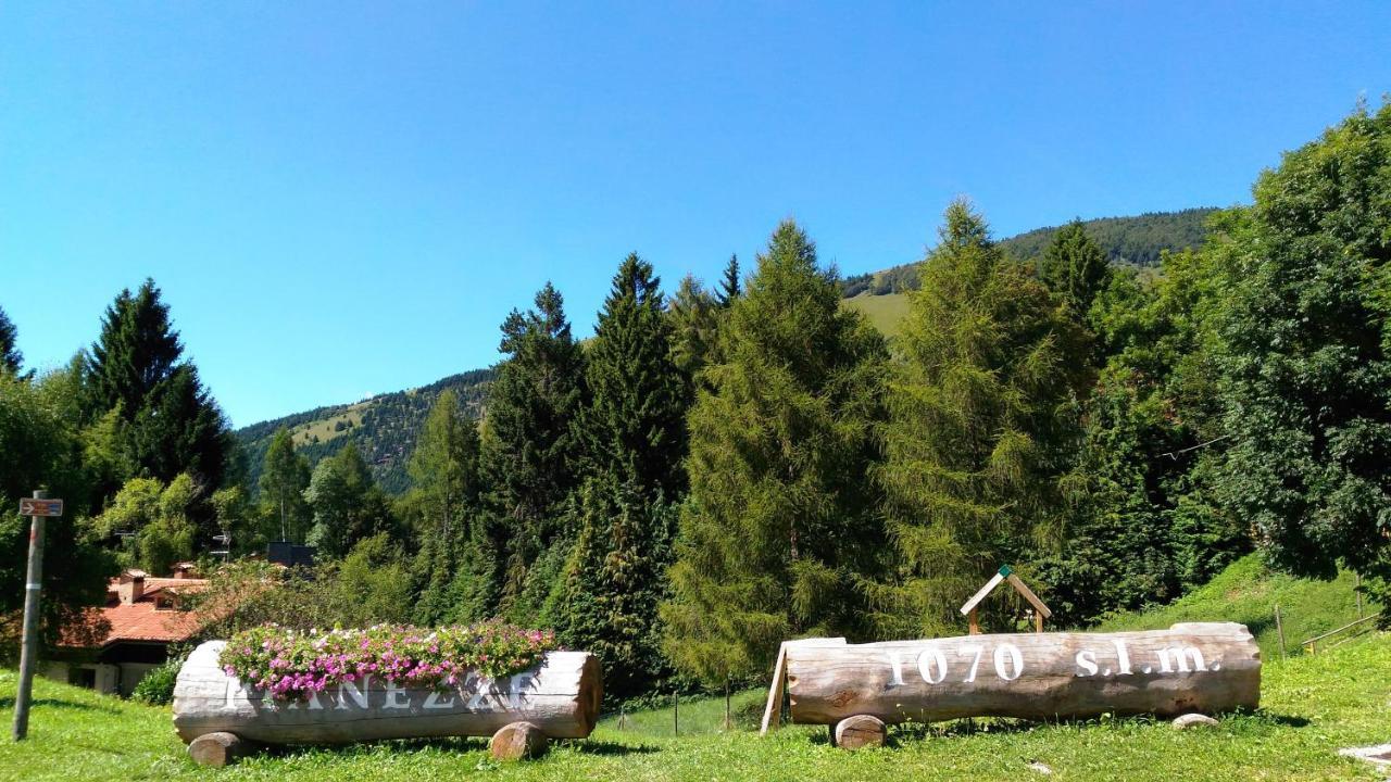 Apartment Miravalle & Stella Alpina